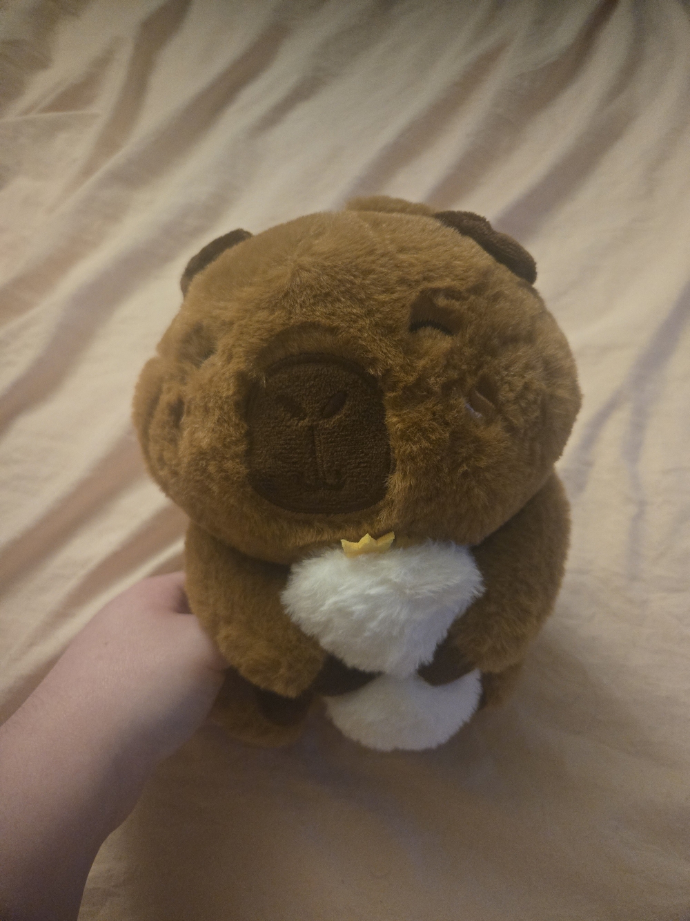Plush Brown Small Capybara - Soft Comfort